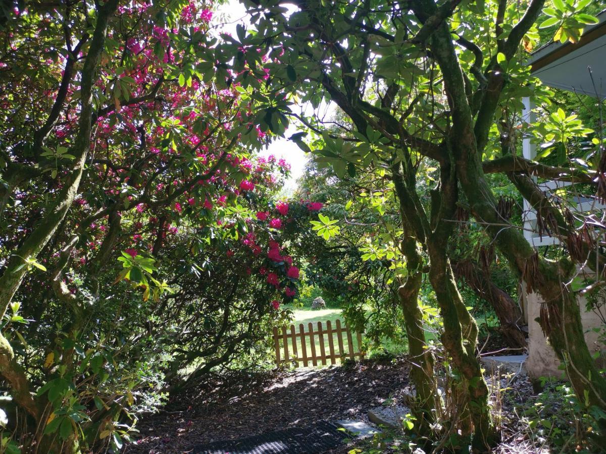 Villa Treeside Woodhouse Hawkshead Exterior foto